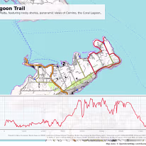 Little Armier (Coral Lagoon)